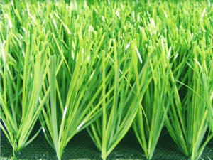 co-nhan-tao-san-bong