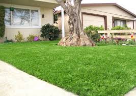 co-nhan-tao-van-vuon-trang-tri-1